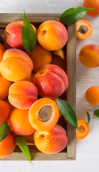 Food wallpapers: apricot, harvest, farm, vitamins