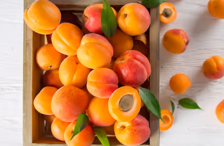 Farm Wallpapers for Apple iPad 1 (1024x1024): apricot, harvest, farm, vitamins