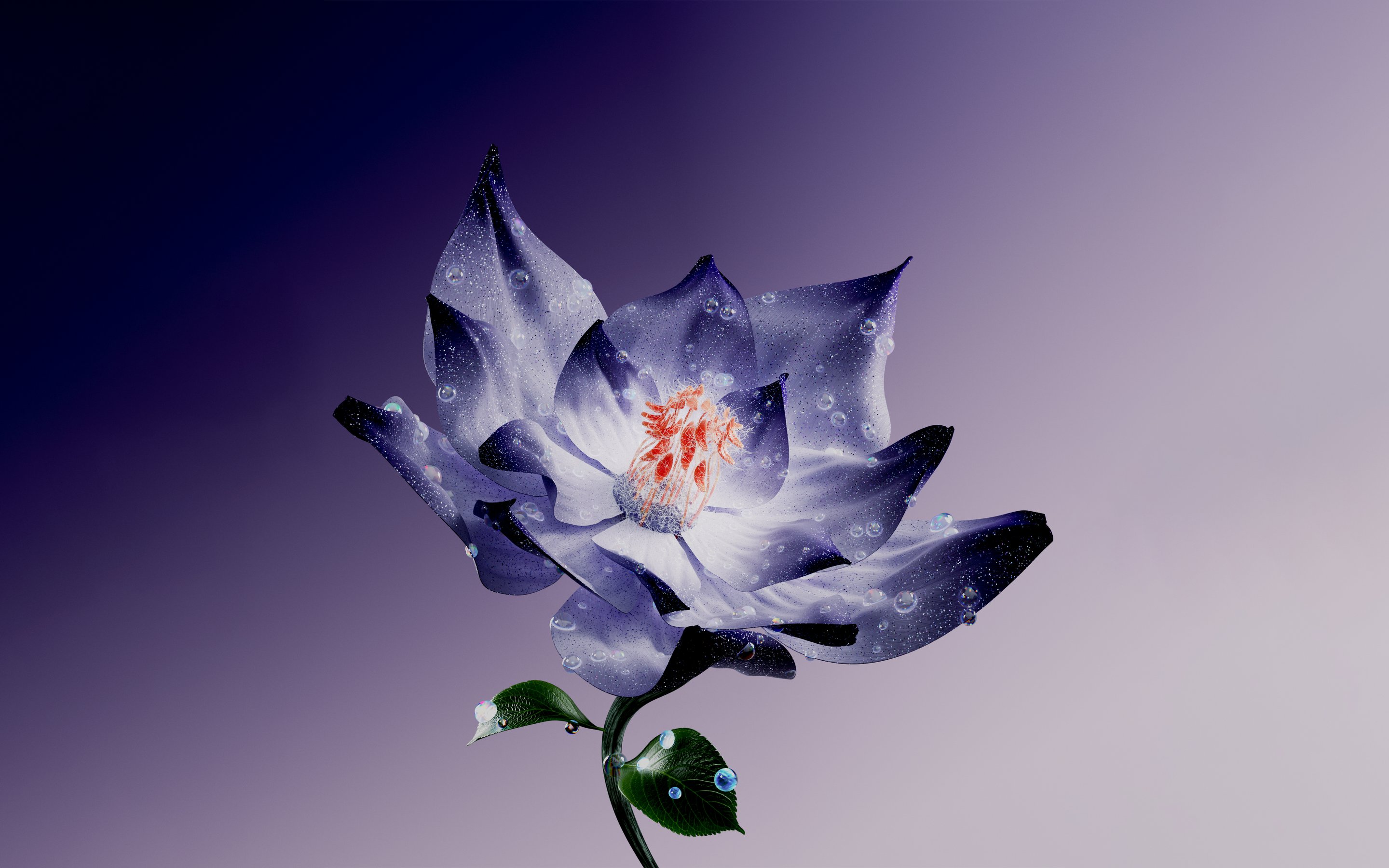 Purple lotus flower - Wallpapers for Apple MacBook 15″ in 2880x1800 resolution