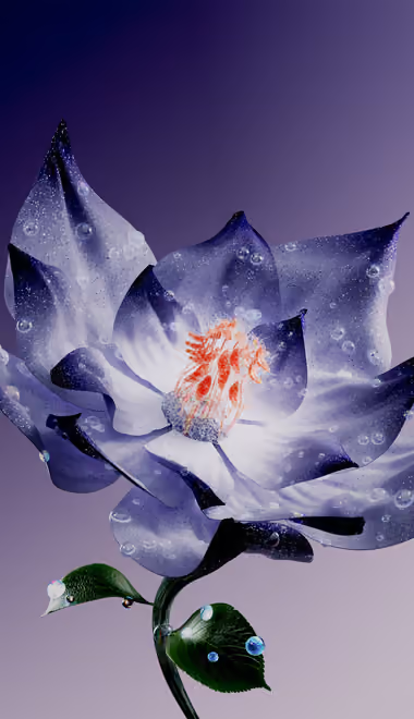 Nature wallpapers: lotus, drops, petals, stamens