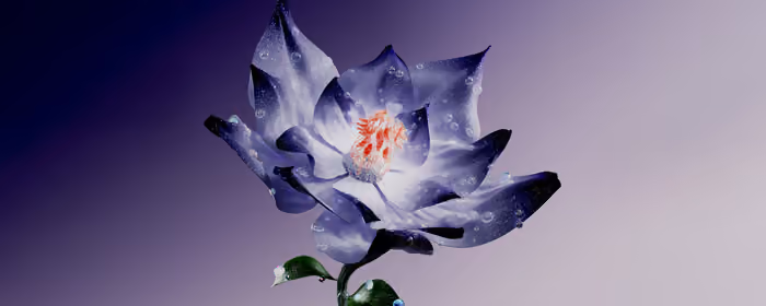 Nature wallpapers: lotus, drops, petals, stamens