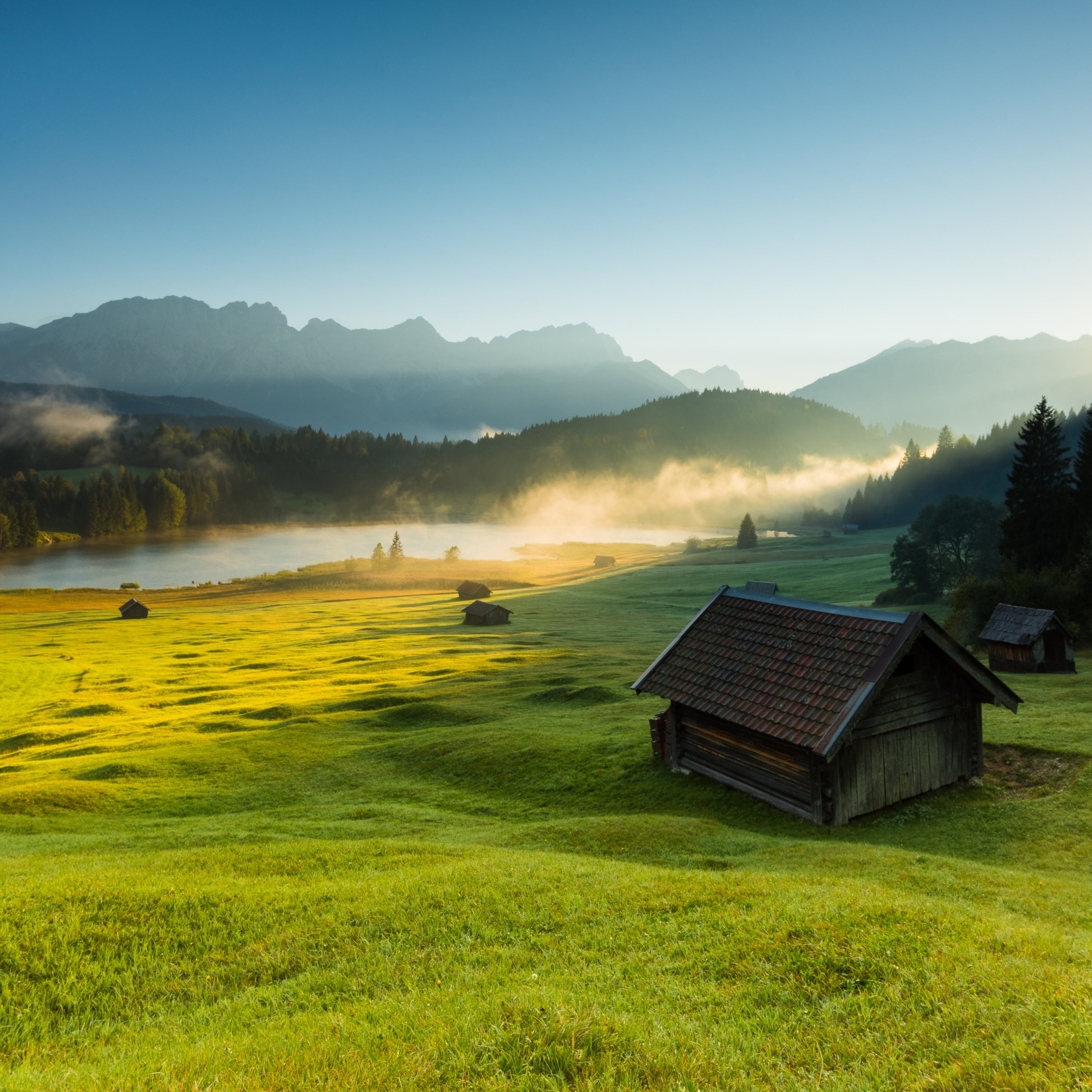 Sunrise over a green meadow - Wallpapers for iPad Pro 11″ 2024 in 2420x2420 resolution