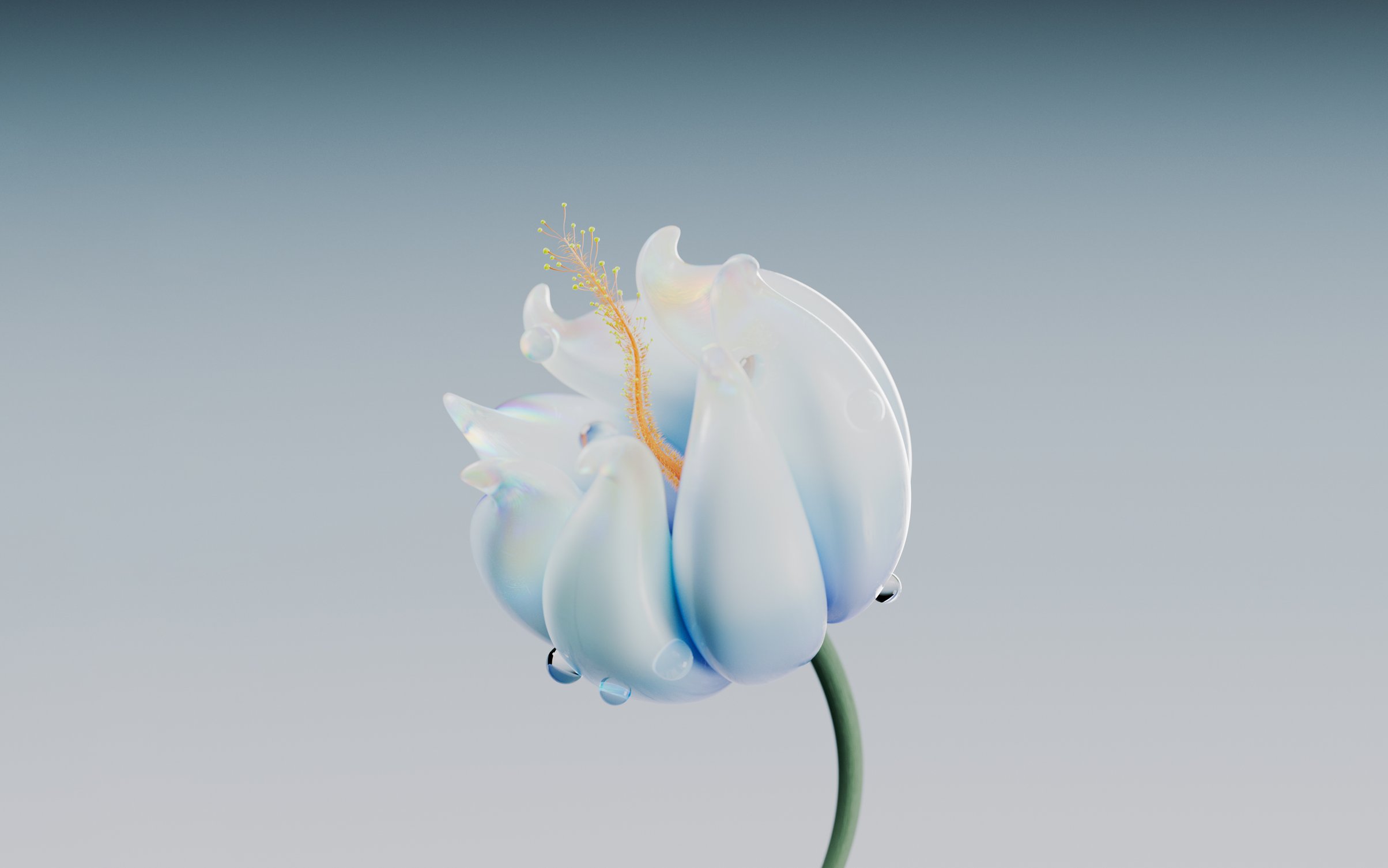 Glossy white flower with dew drops - Wallpapers for MacBook Neo in 2408x1506 resolution