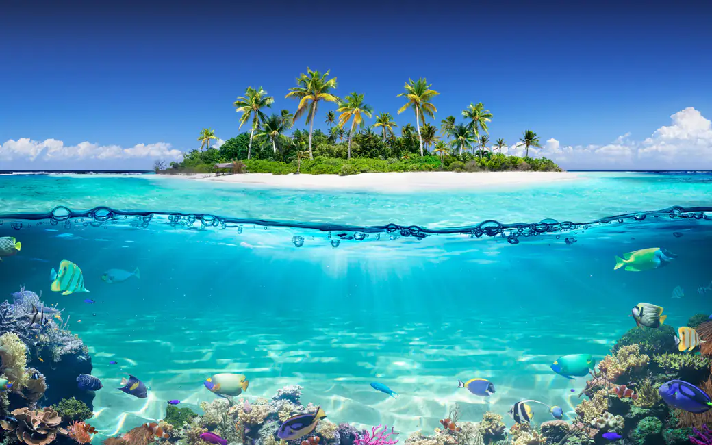 Tropical island with coral reef — desktop and phone wallpaper, free download