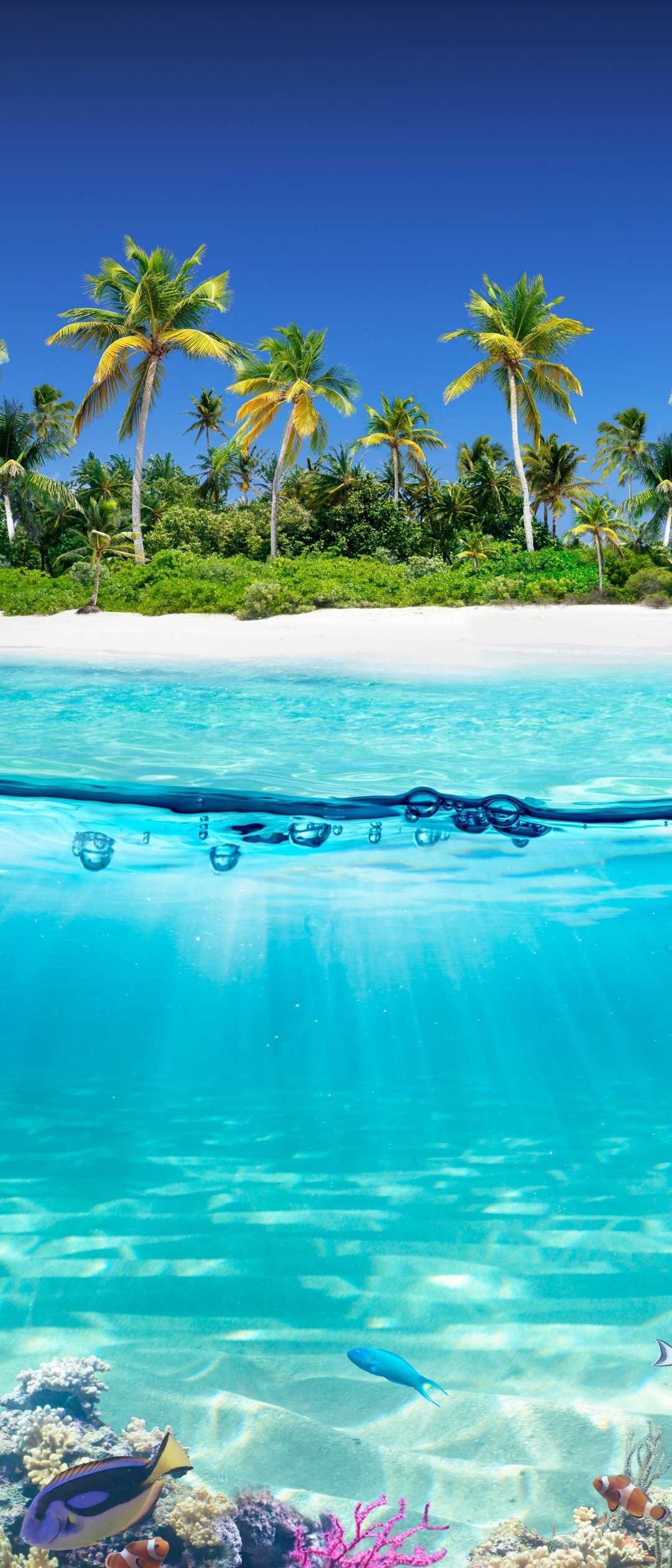 Tropical island with coral reef - Wallpapers for Samsung Galaxy Z Flip7, Sony Xperia 5 II/5 III/5 V/10 IV/10 V, Xiaomi Mix Fold 3 in 1080x2520 resolution