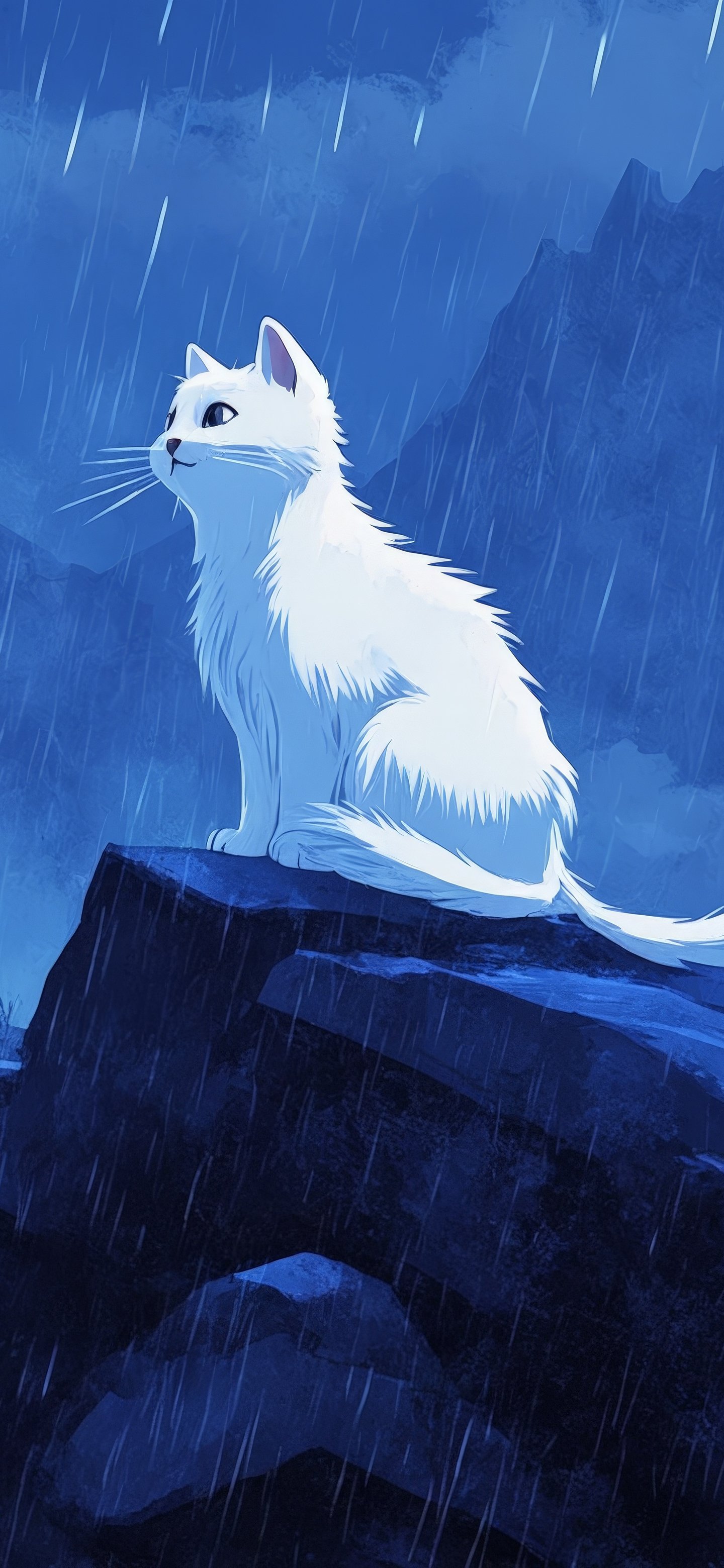 White cat at night in the rain - Wallpapers for Samsung Galaxy S24/S24 Ultra/S25 Ultra/S25+/S26 Ultra in 1440x3120 resolution