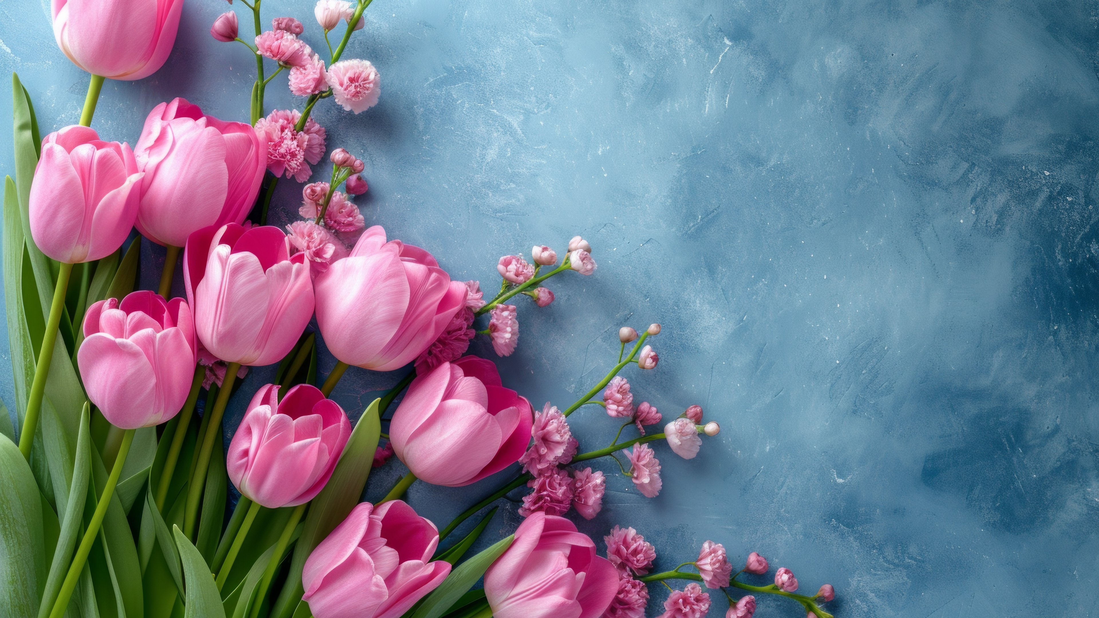 Pink tulips - 4K PC Wallpapers in 3840x2160 resolution