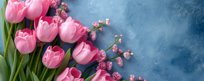 Nature wallpapers: tulip, bouquet, spring, flowers