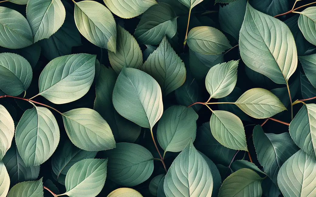 Green leaves texture — desktop and phone wallpaper, free download