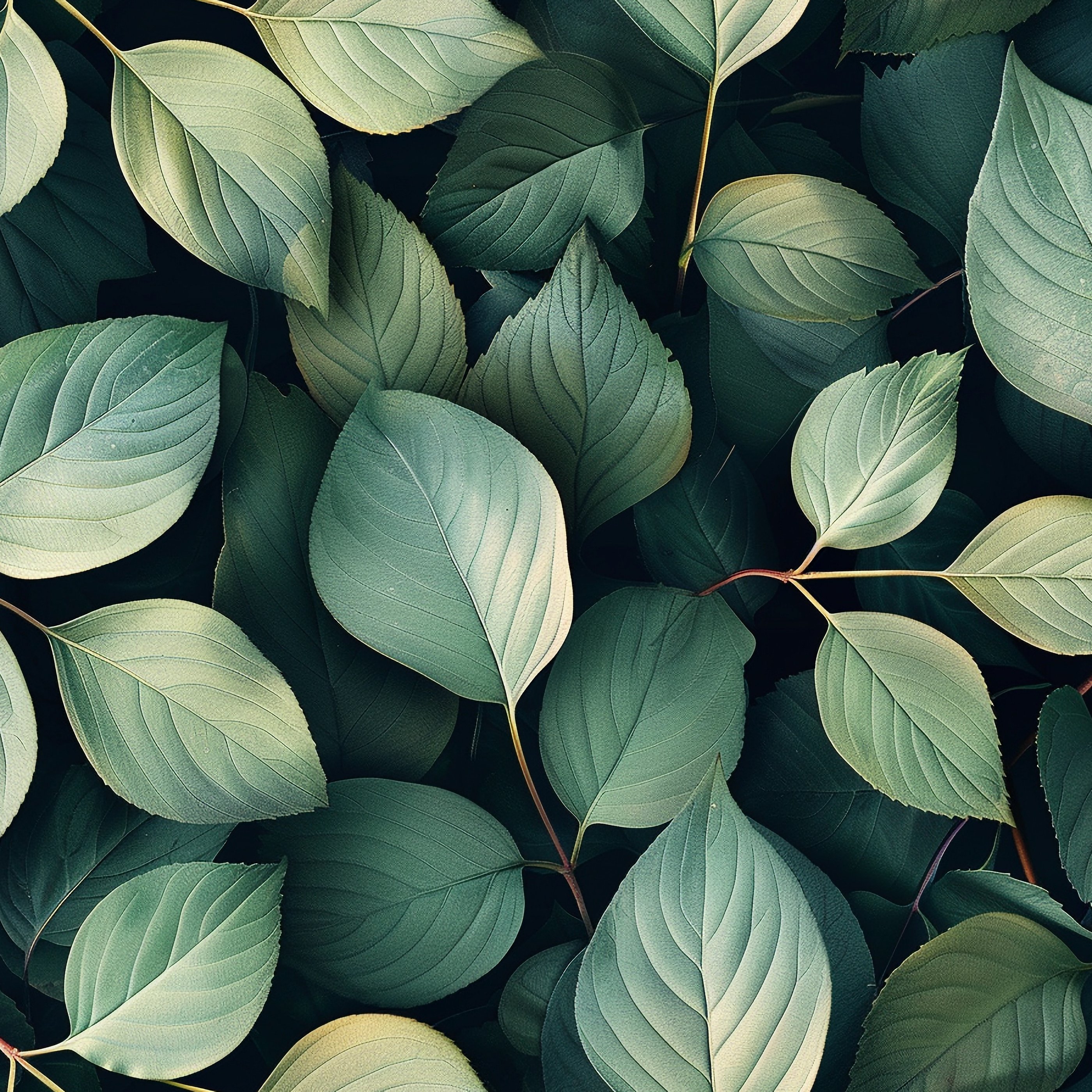Green leaves texture - Wallpapers for Samsung Galaxy Tab S9+ in 2800x2800 resolution