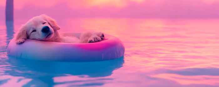 UltraWide 32:9 Leisure wallpapers (3840x1080): puppy, retriever, pool, inflatable ring