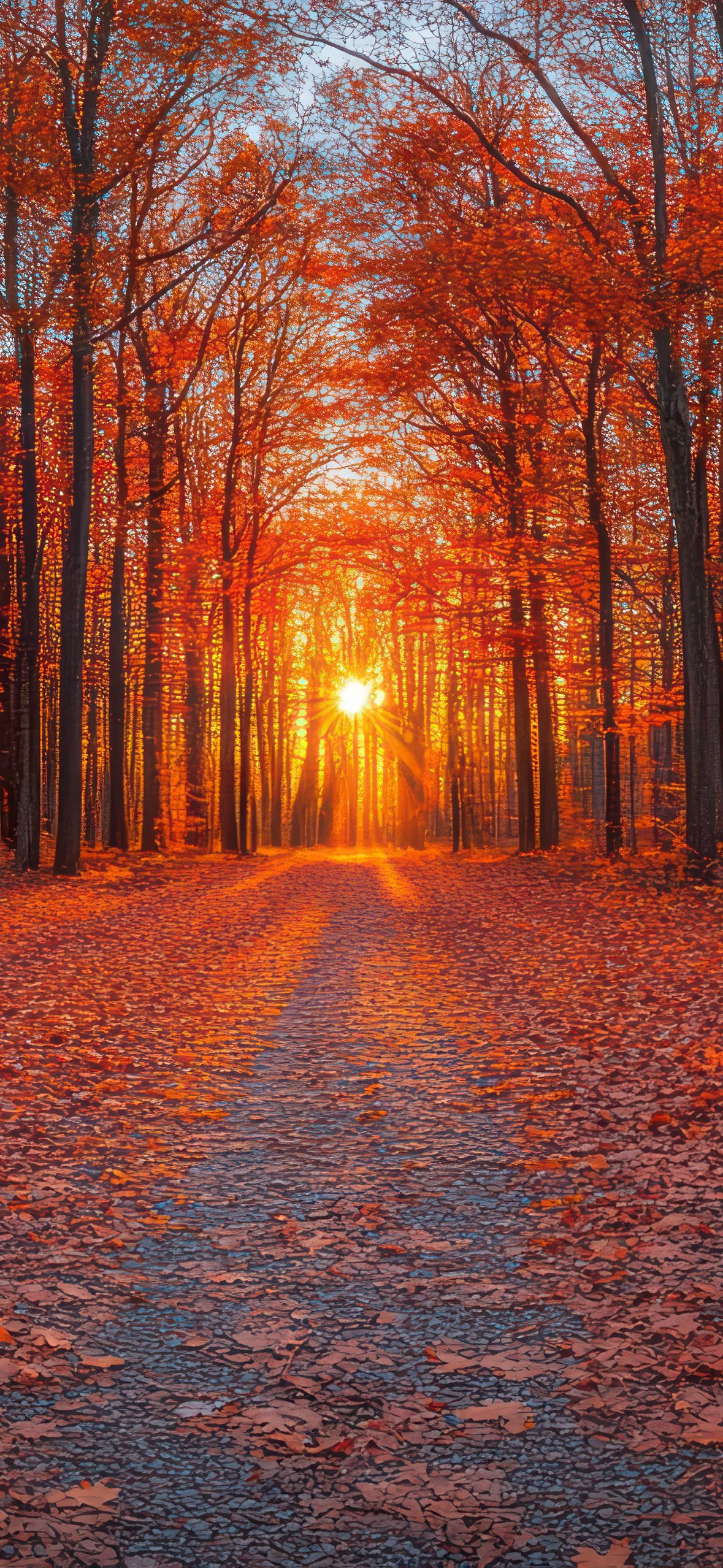 Orange Autumn Forest - Wallpapers for iPhone 14 Pro/15 Pro in 1179x2556 resolution