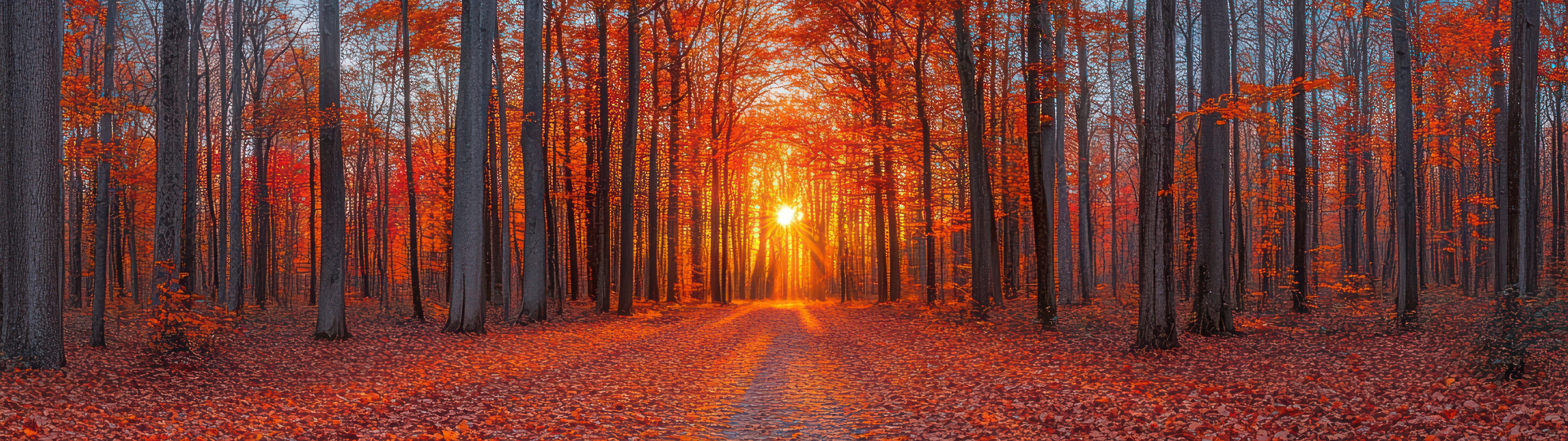 Orange Autumn Forest - UltraWide 32:9 wallpapers in 5120x1440 resolution