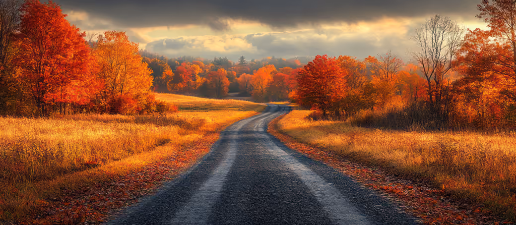 Autumn Orange Forest - UltraWide 32:9 wallpapers in 3840x1080 resolution