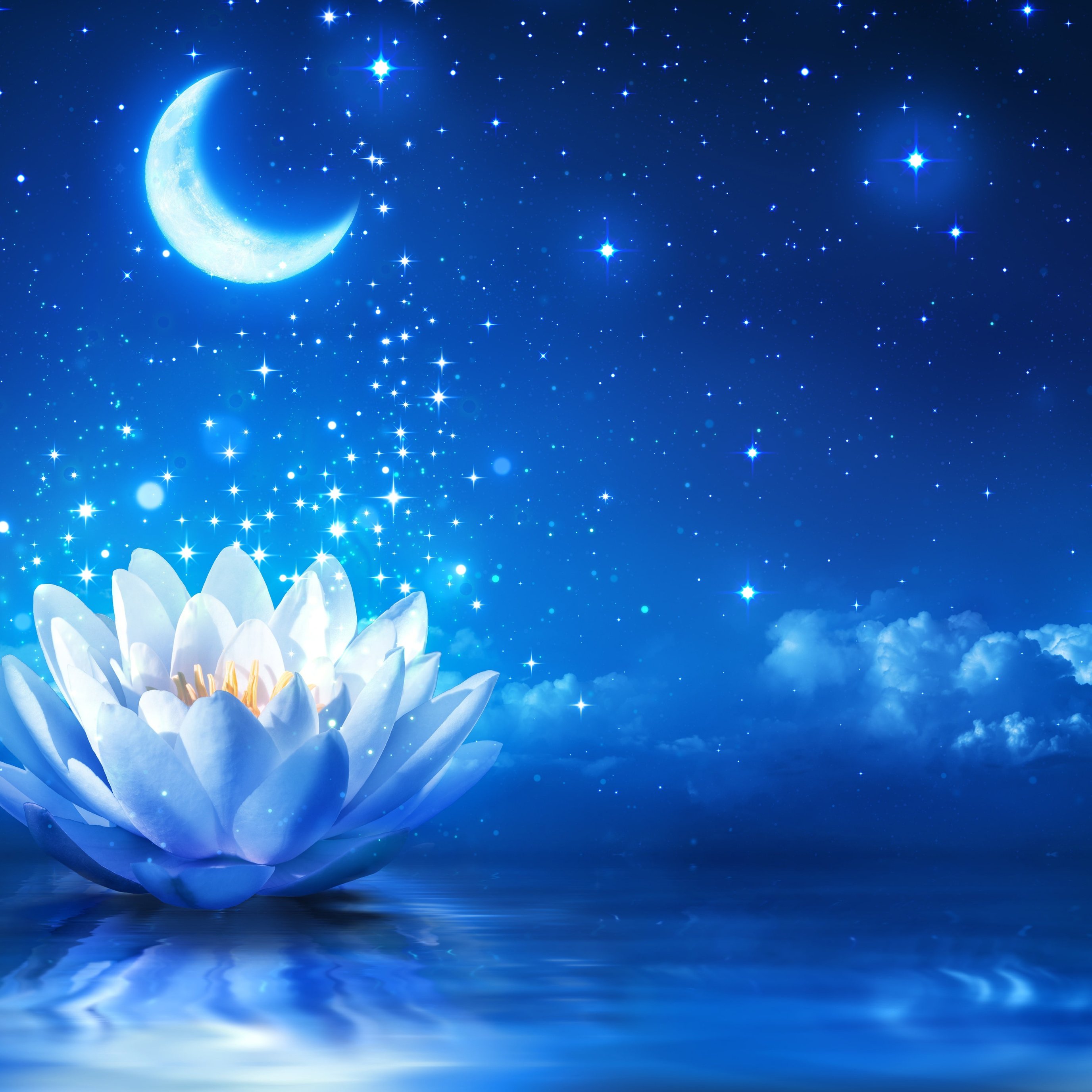 Crescent moon and water lily at night - Wallpapers for iPad Pro 13″ in 2752x2752 resolution