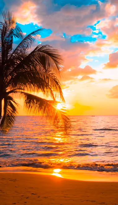 Nature wallpapers: palms, beach, tropics, sunset