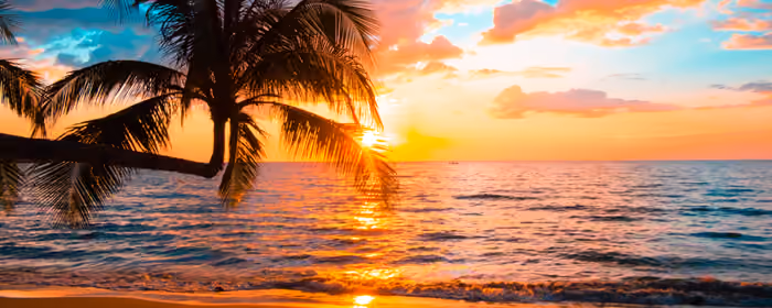 UltraWide 32:9 wallpapers (3840x1080): palms, beach, tropics, sunset