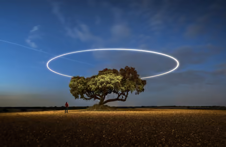 SXGA Long exposure wallpapers (1280x1024): long exposure, light, trees, night