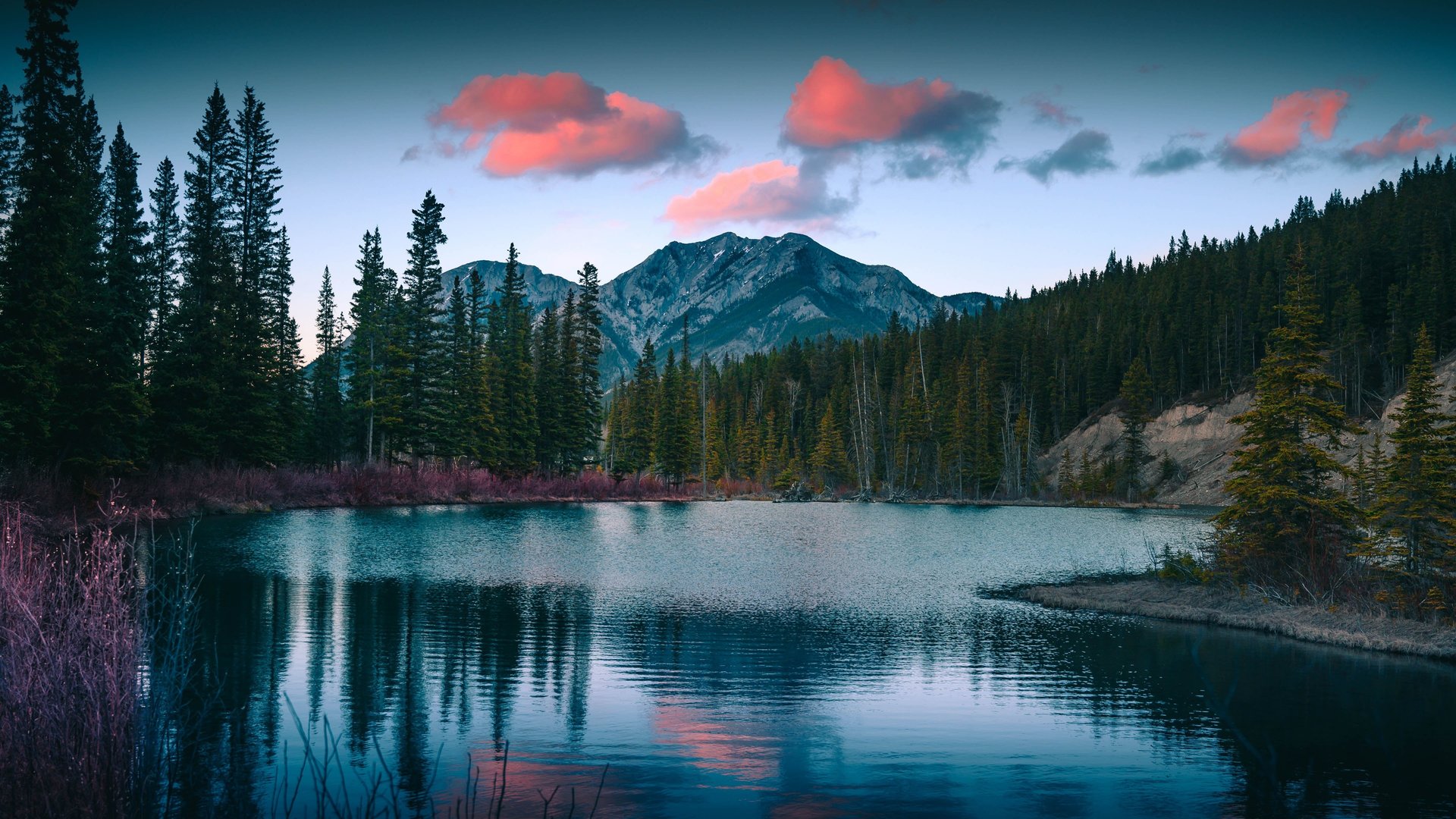 Mountain lake with pine trees - Full HD wallpapers in 1920x1080 resolution