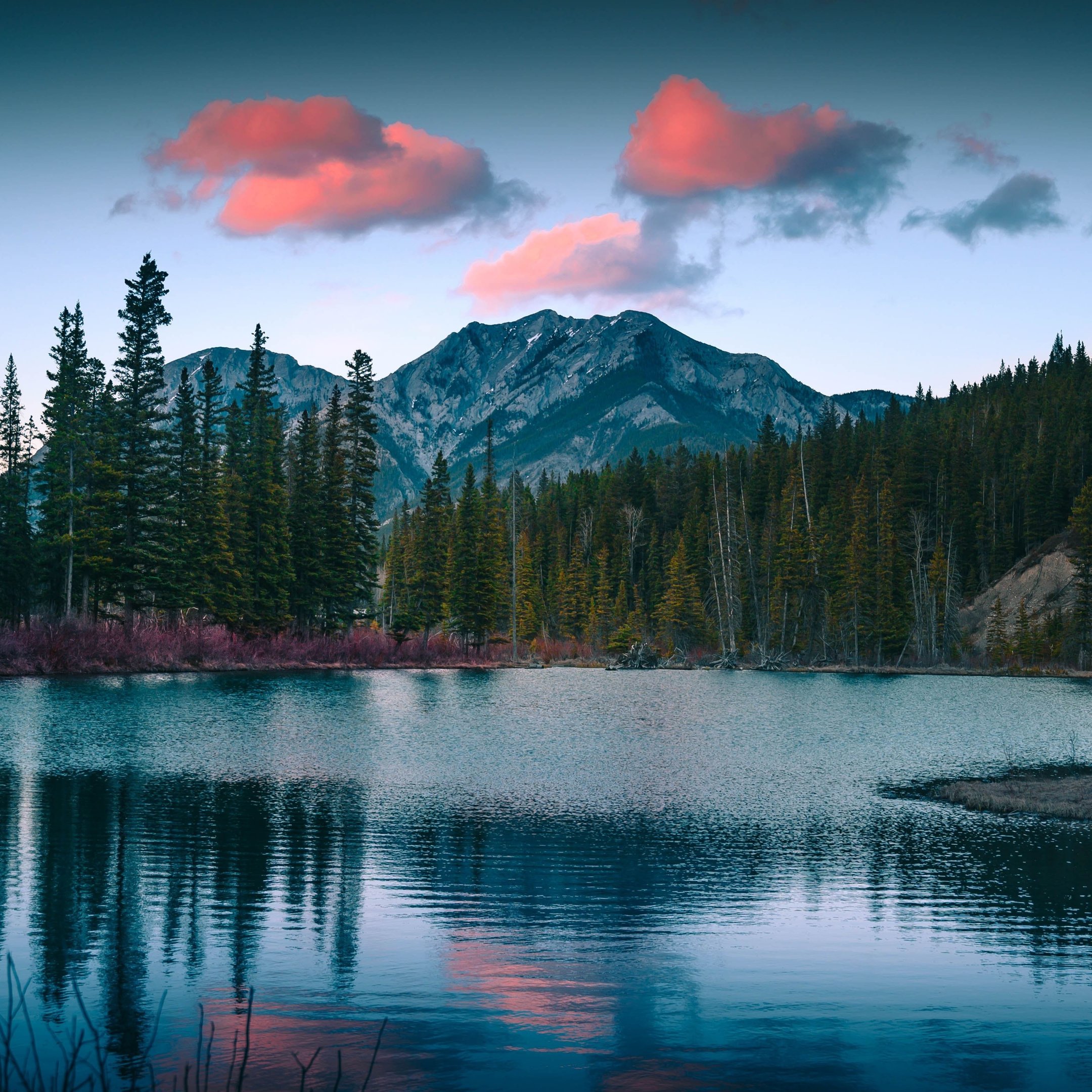 Mountain lake with pine trees - Wallpapers for iPad 10.2″ in 2160x2160 resolution