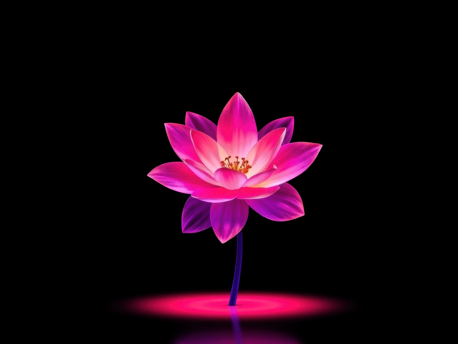 Neon Pink Lotus Flower - UXGA wallpapers in 1600x1200 resolution