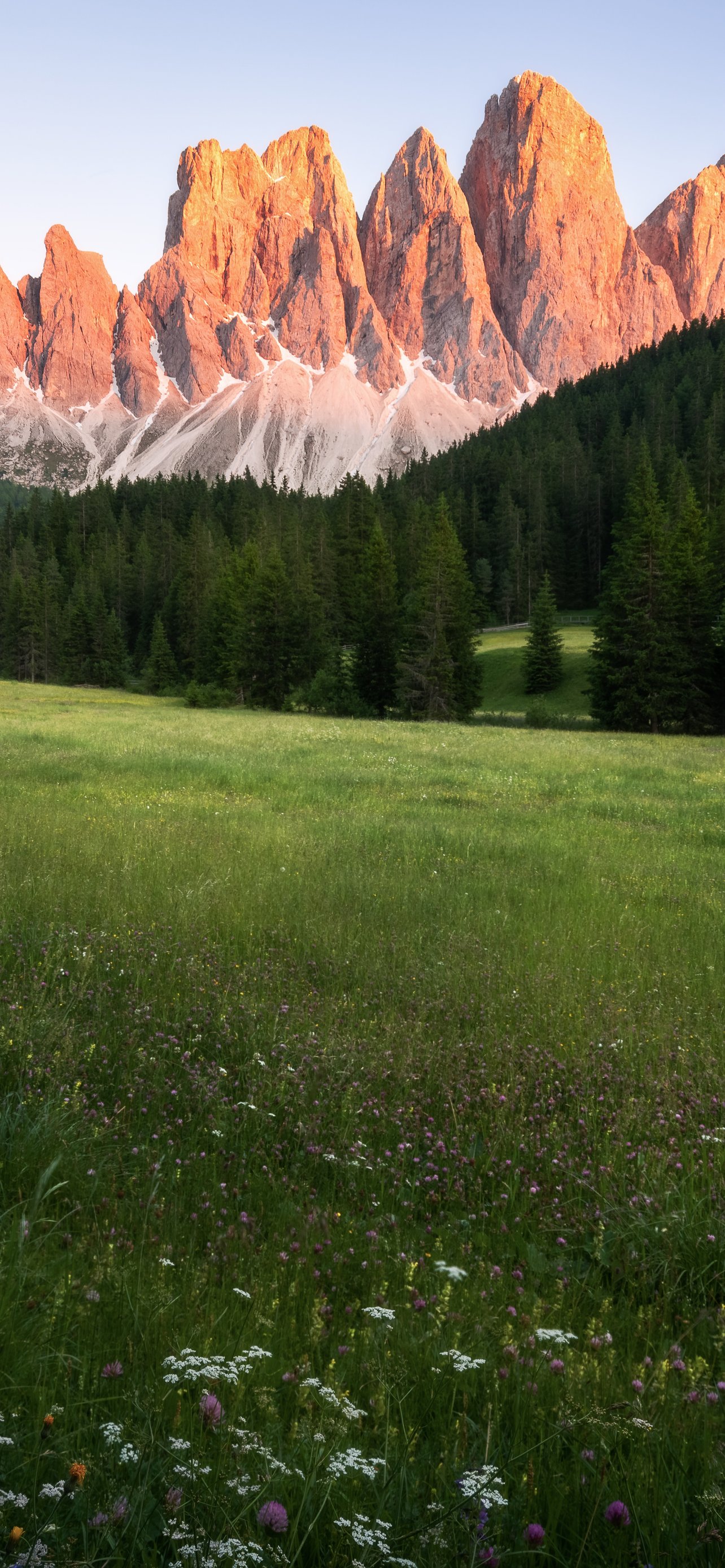 Alps and a green meadow at sunset - Wallpapers for iPhone 13 Pro Max/12 Pro Max/14 Plus in 1284x2778 resolution