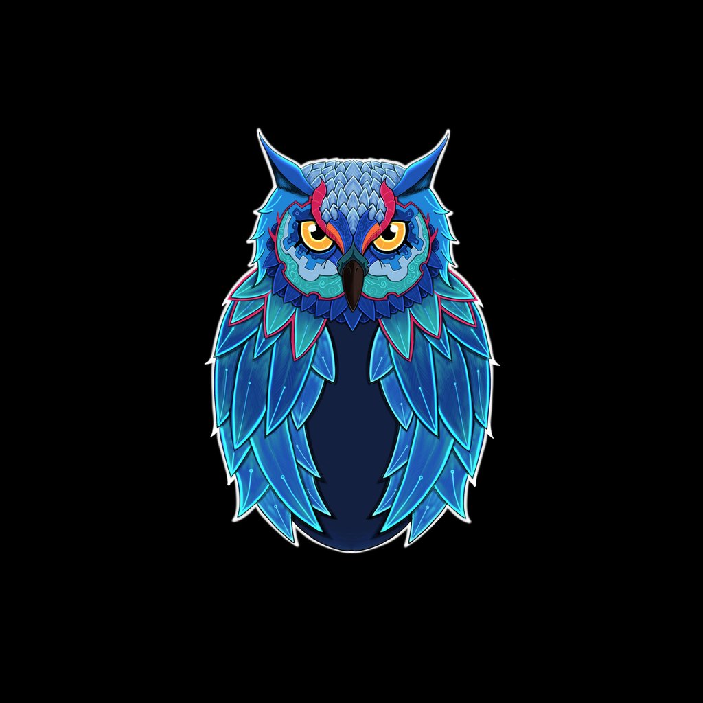 Minimalistic blue owl - Wallpapers for Apple iPad 1 in 1024x1024 resolution