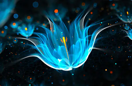 particles Wallpapers for Apple MacBook 16″ (3072x1920): flowers, light, illumination, particles
