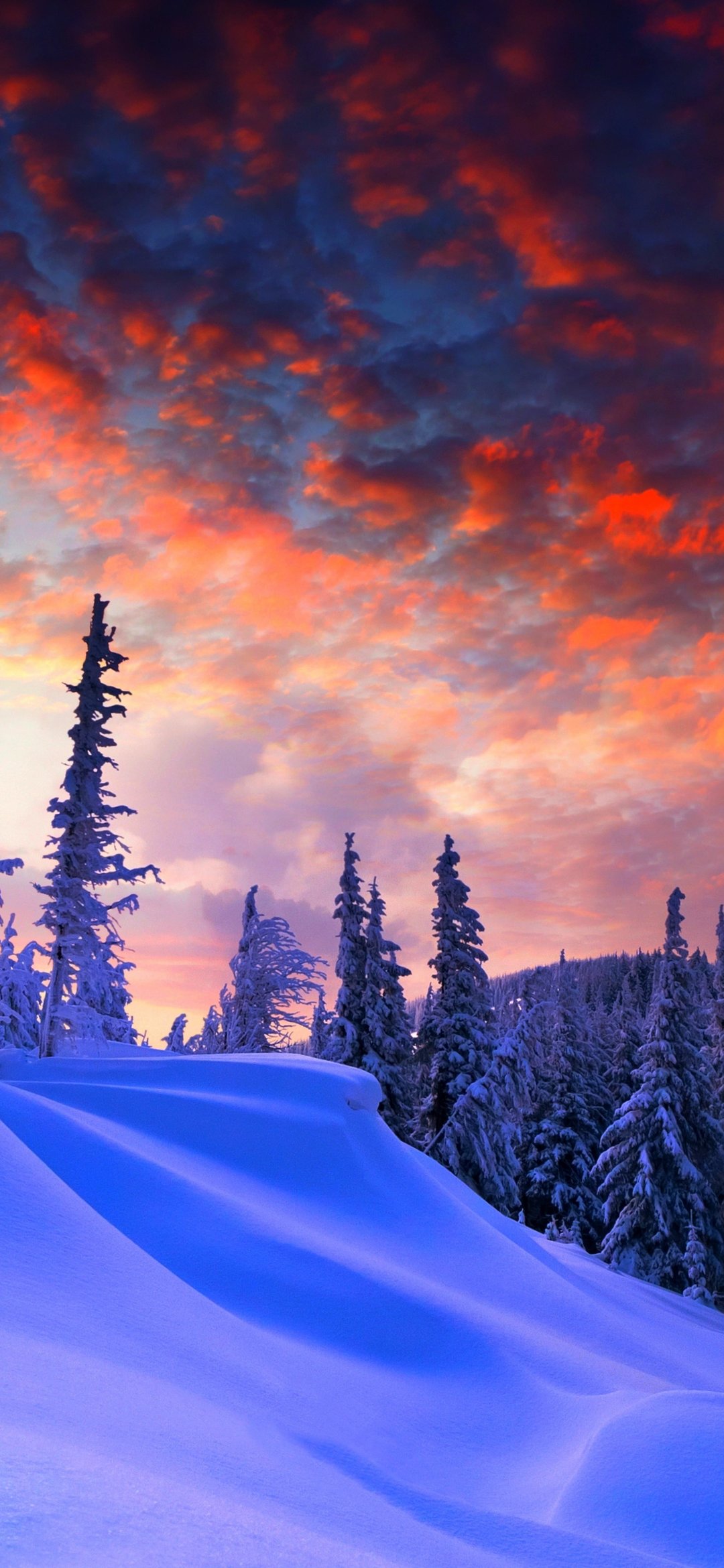 Snow-covered pine forest at sunset winter landscape - Wallpapers for iPhone 12 mini/13 mini, Samsung Galaxy S24/S24 FE/S25/S25 FE/S26/A55/A56/A35/A26/A16/M15, Xiaomi, Sony Xperia in 1080x2340 resolution