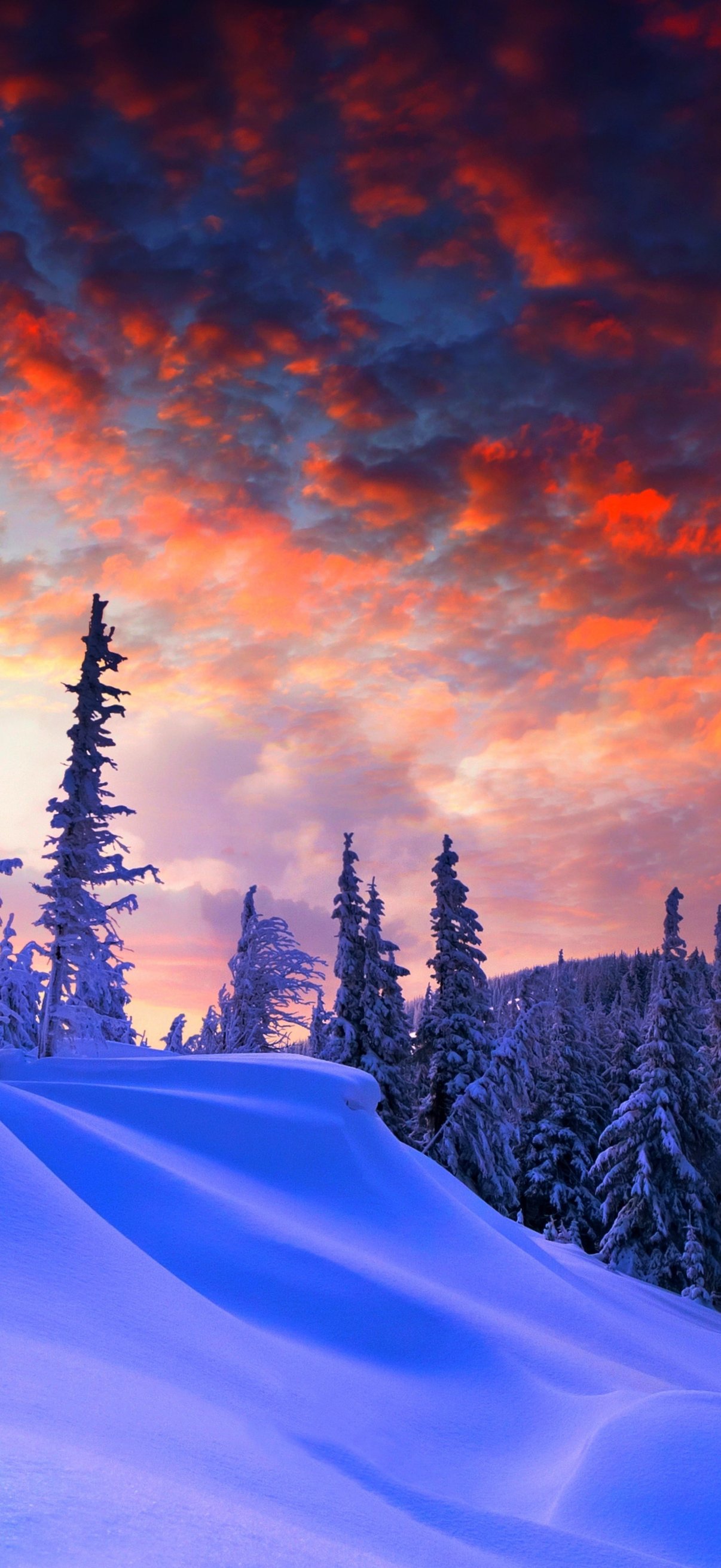 Snow-covered pine forest at sunset winter landscape - Wallpapers for iPhone 17 Pro/17/16 Pro in 1206x2622 resolution