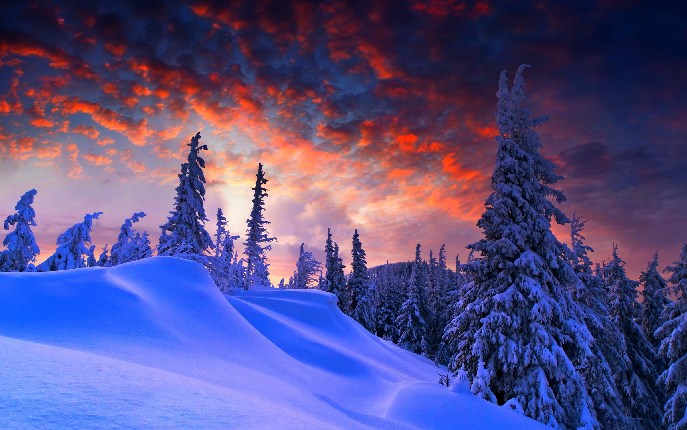 Snow-covered pine forest at sunset winter landscape - Wallpapers for MacBook Neo in 2408x1506 resolution