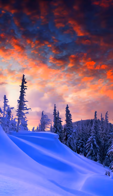 Nature wallpapers: winter, forest, snow, evening