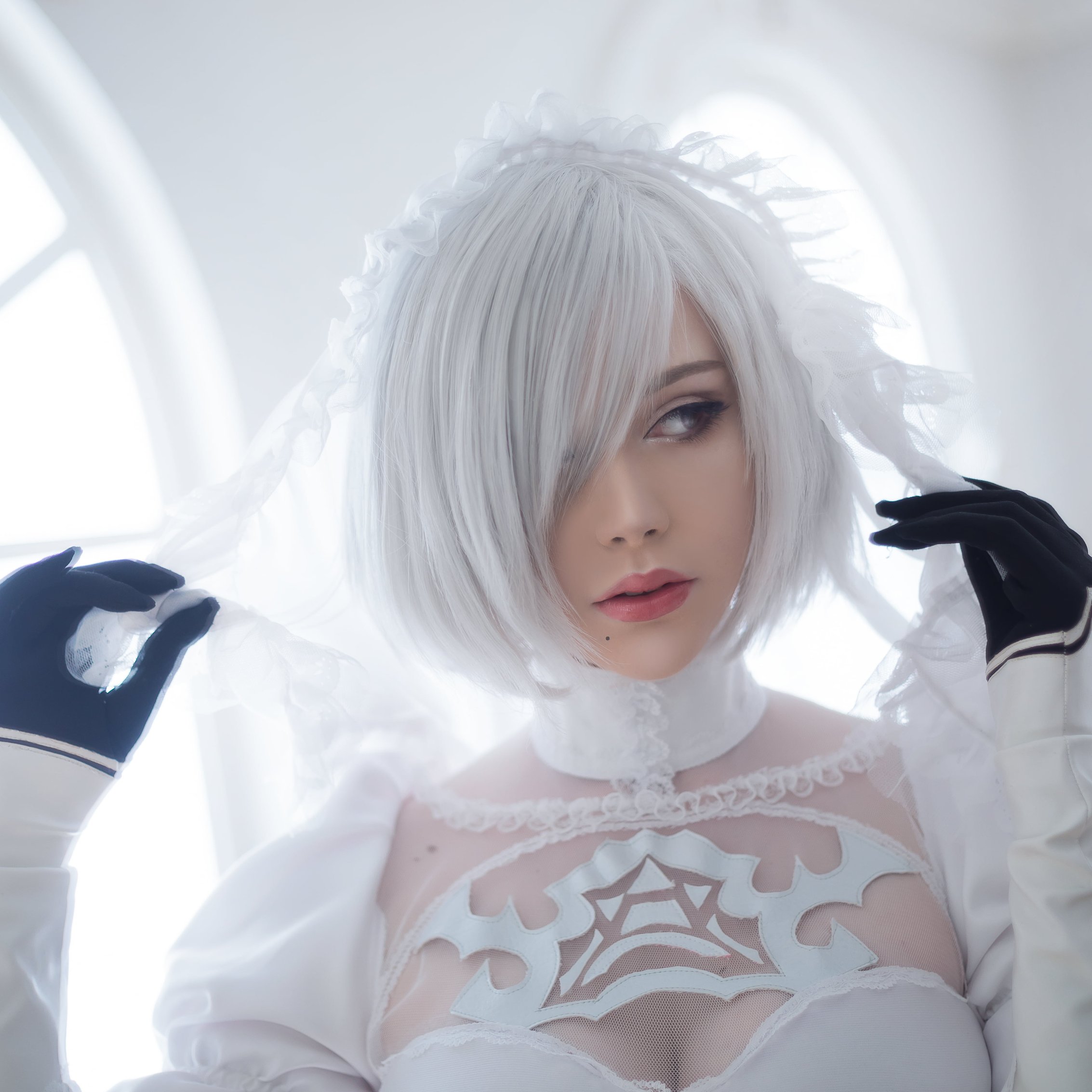 Saya Fox as Belaya 2B - Wallpapers for iPad mini 8.3″ in 2266x2266 resolution