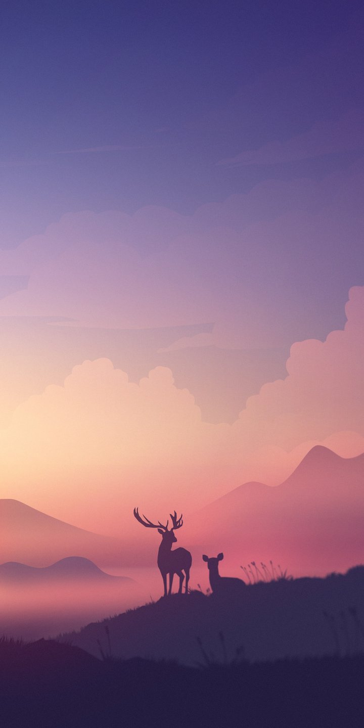 Wildlife at sunset - Wallpapers for Samsung Galaxy A03s, Xiaomi Redmi 7A, POCO C3 in 720x1440 resolution