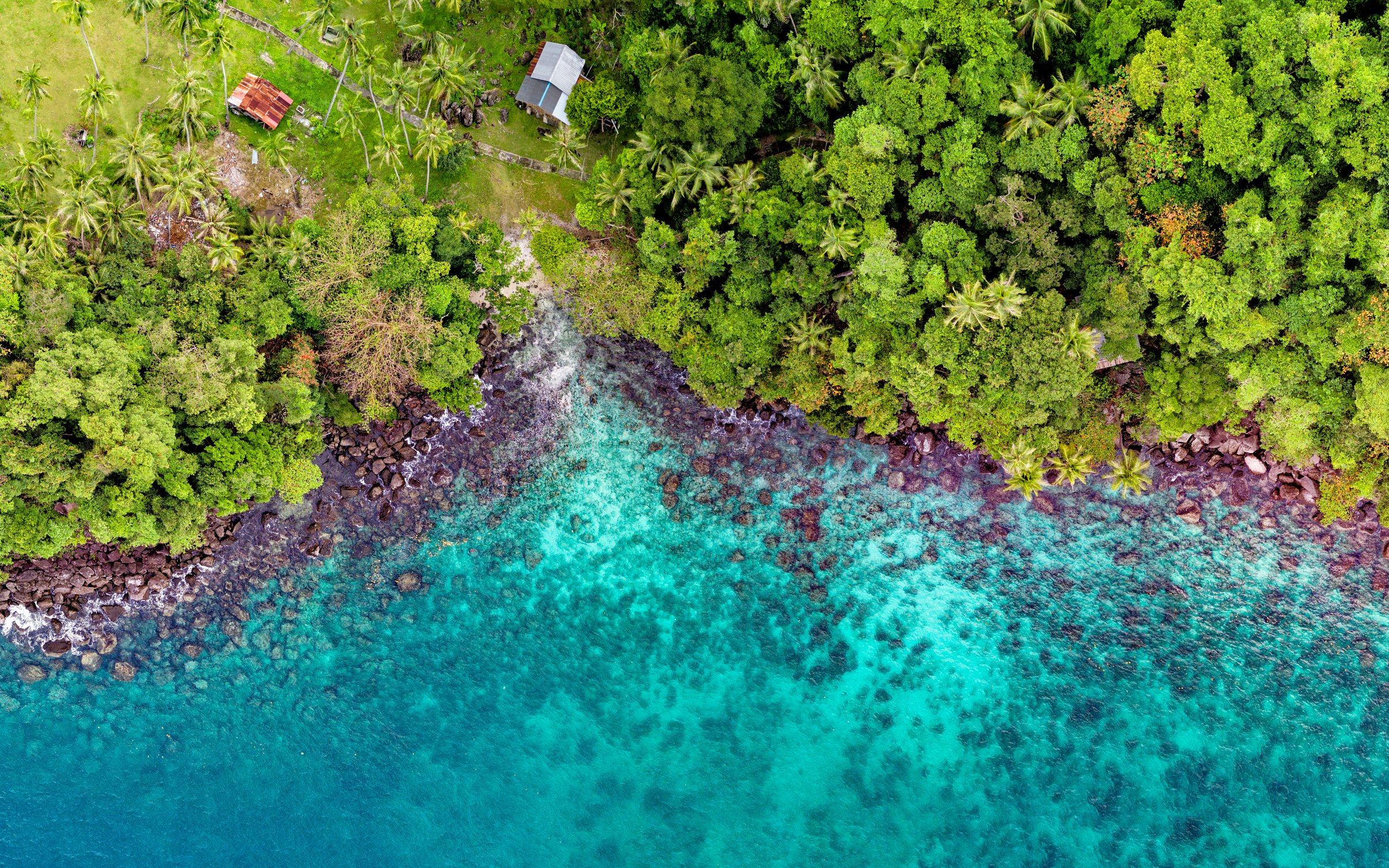 Tropical Seashore with Lush Green Forest - Wallpapers for MacBook Neo in 2408x1506 resolution