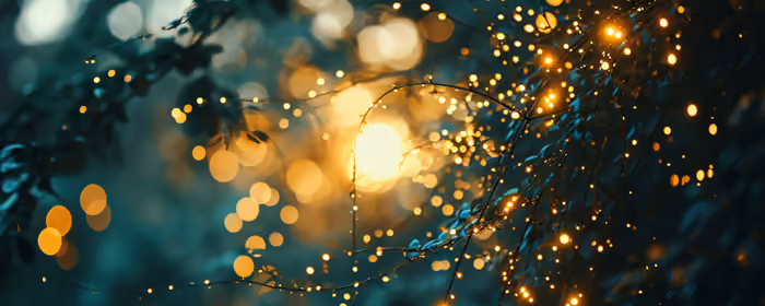 Nature wallpapers: bokeh, forest, branch, dew