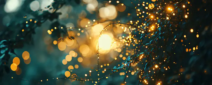 UltraWide 21:9 dew wallpapers (2560x1080): bokeh, forest, branch, dew