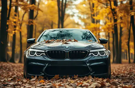Обои машины: BMW M5, осень, лес, осенние листья