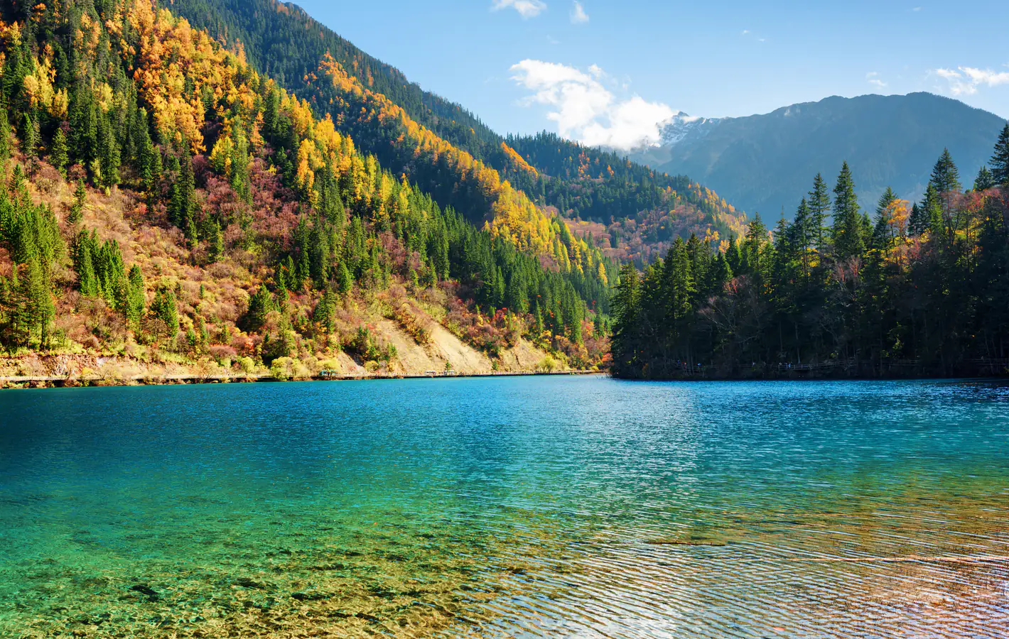 Jiuzhaigou National Park lake and colorful forest in China — desktop and phone wallpaper, free download