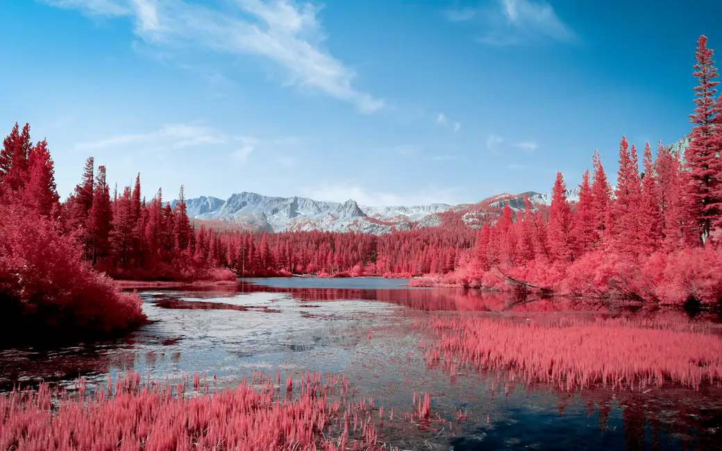 Red forest and lake in autumn — desktop and phone wallpaper, free download