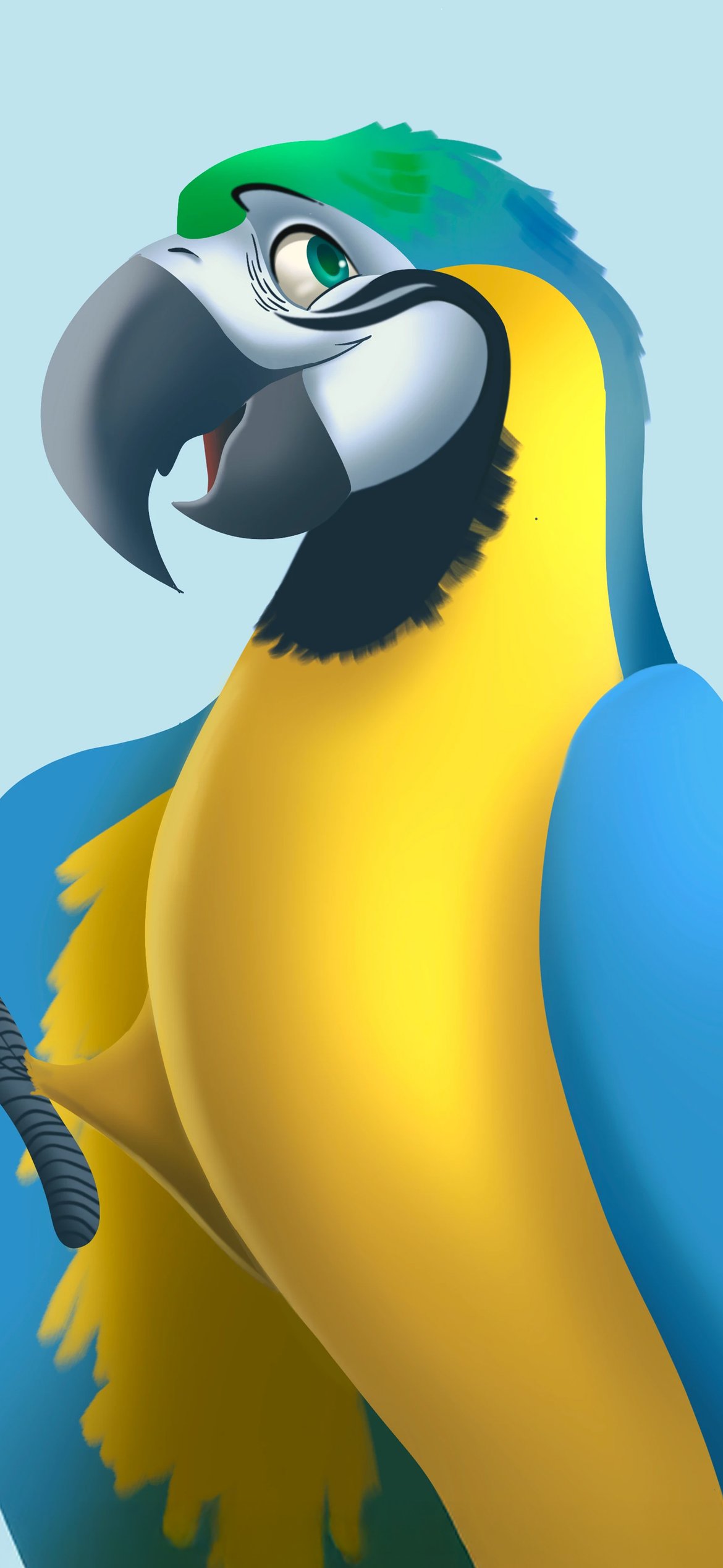 Smiling Macaw parrot - Wallpapers for iPhone 12 Pro/13 Pro/14 in 1170x2532 resolution
