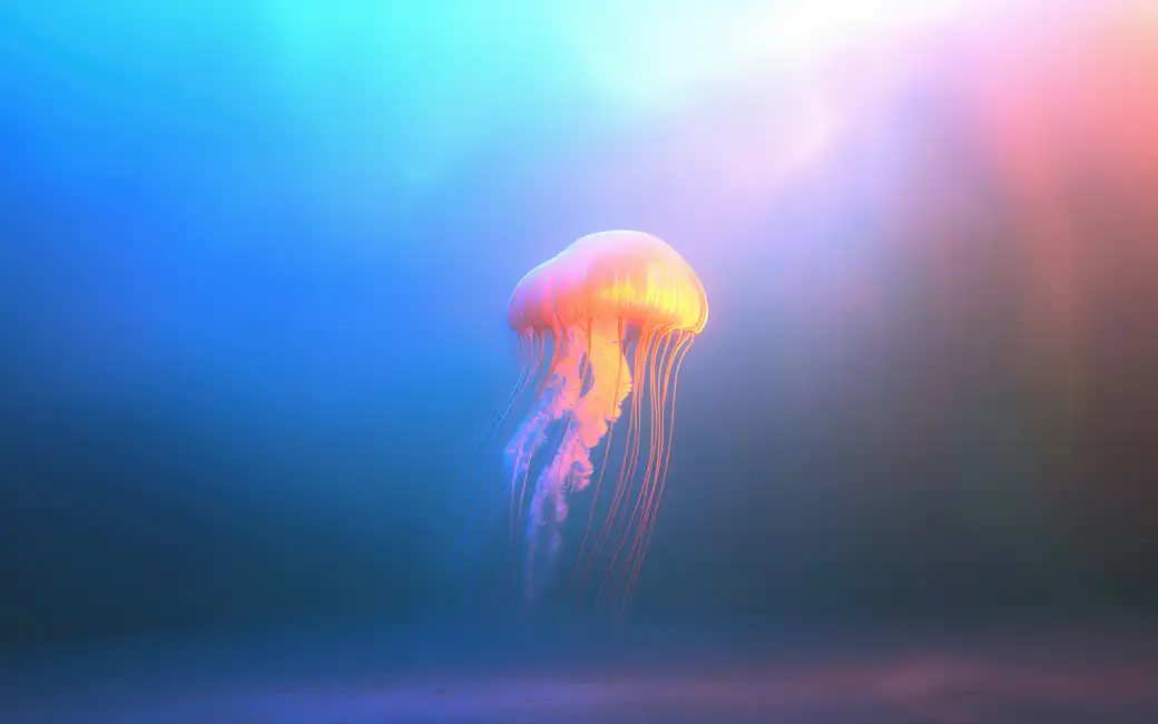 Glowing jellyfish in ocean — desktop and phone wallpaper, free download
