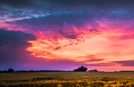 Nature wallpapers: wheat, field, sunset, sky