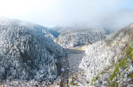 Nature wallpapers: Taiwan, snow, forest, mountains