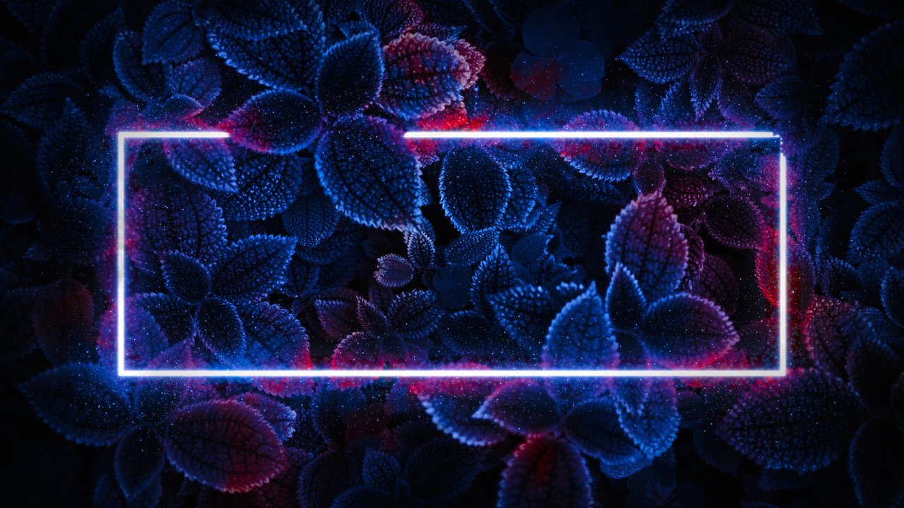 Leaves with neon light - HDV 720p wallpapers in 1280x720 resolution