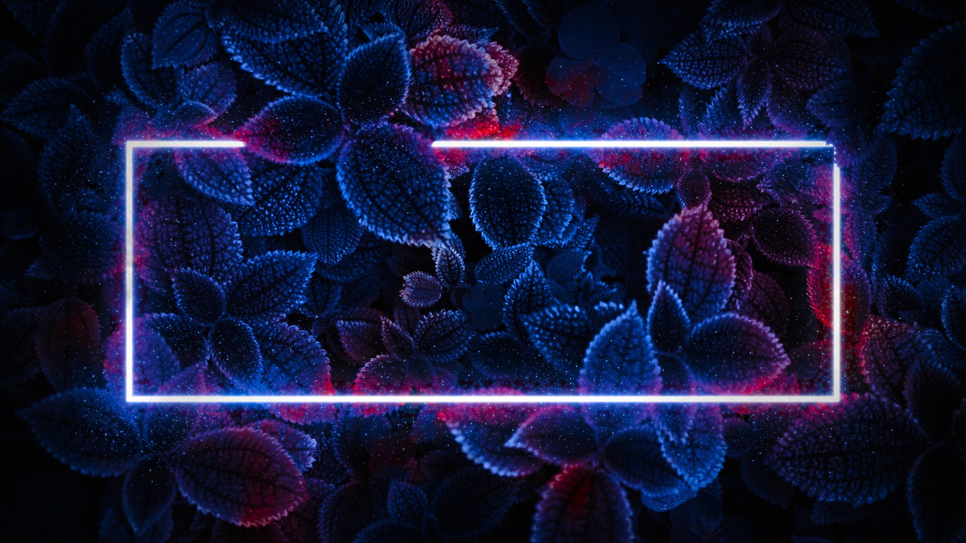 Leaves with neon light - 4K PC Wallpapers in 3840x2160 resolution