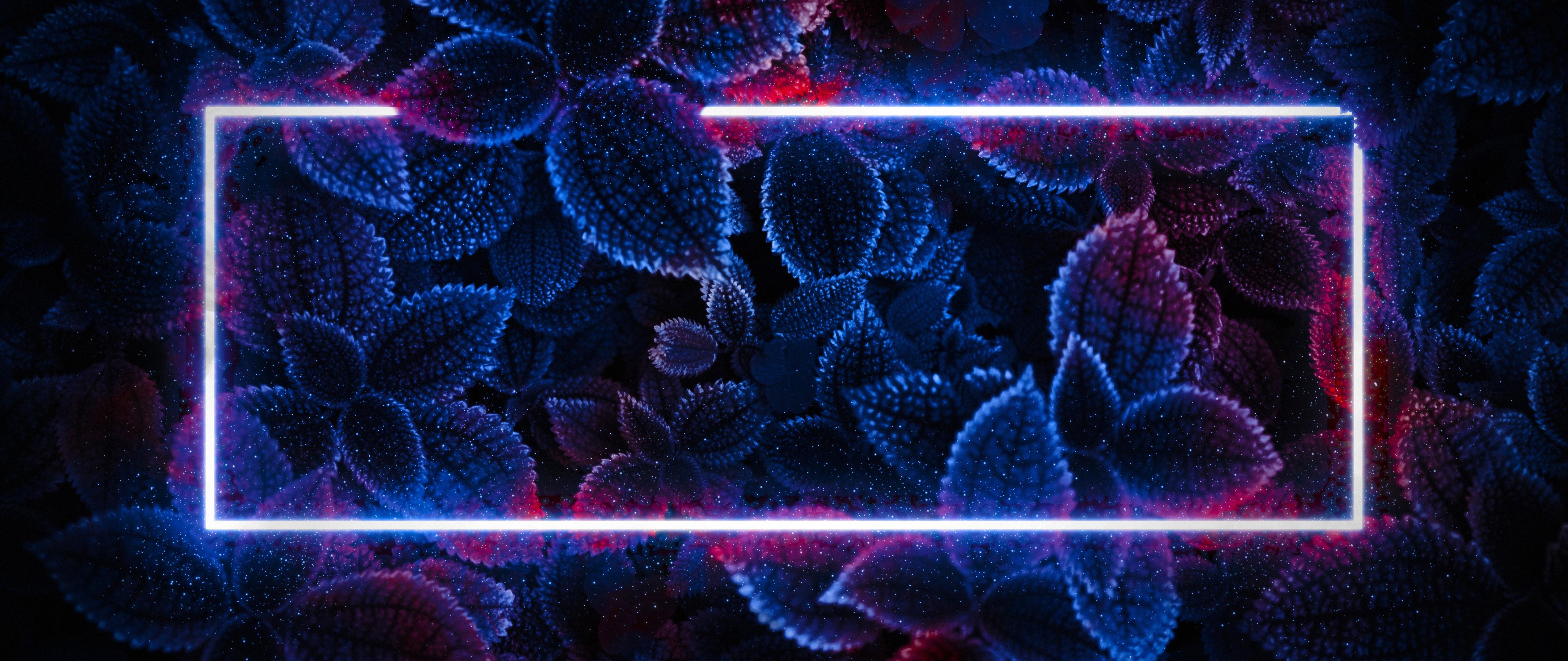 Leaves with neon light - 5K2K UltraWide 21:9 wallpapers in 5120x2160 resolution