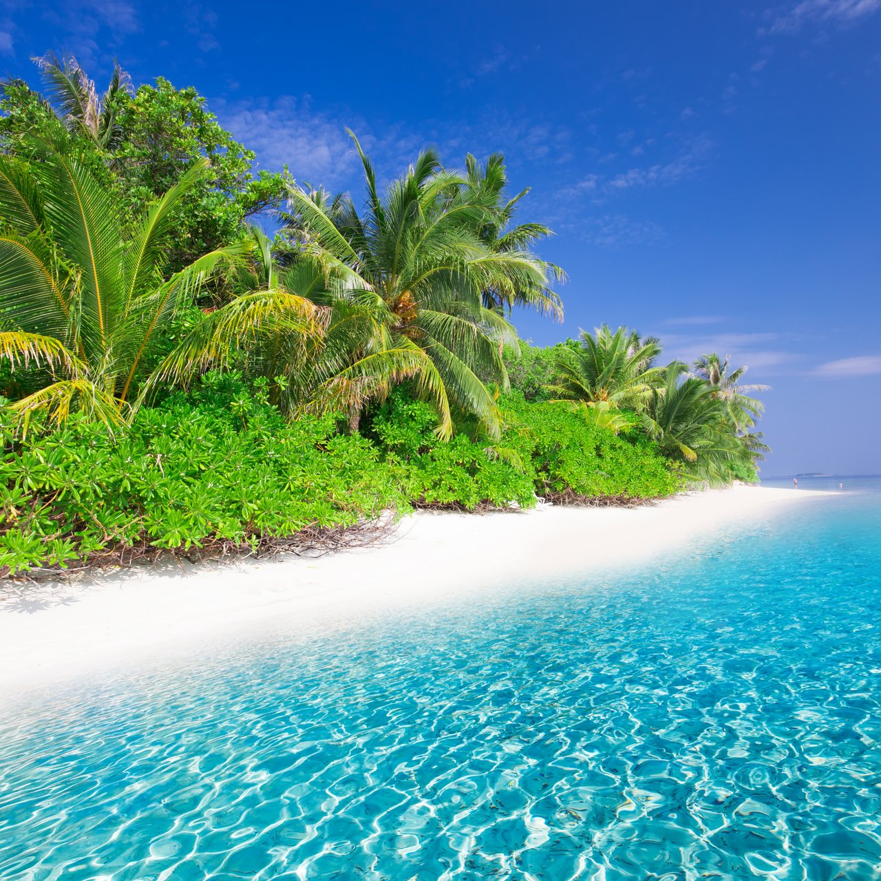 Tropical beach with turquoise water - Wallpapers for Lenovo, Huawei in 1280x1280 resolution
