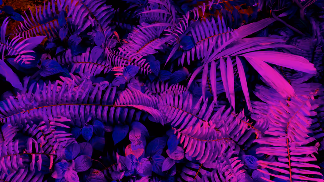 Neon Fern leaves — desktop and phone wallpaper, free download