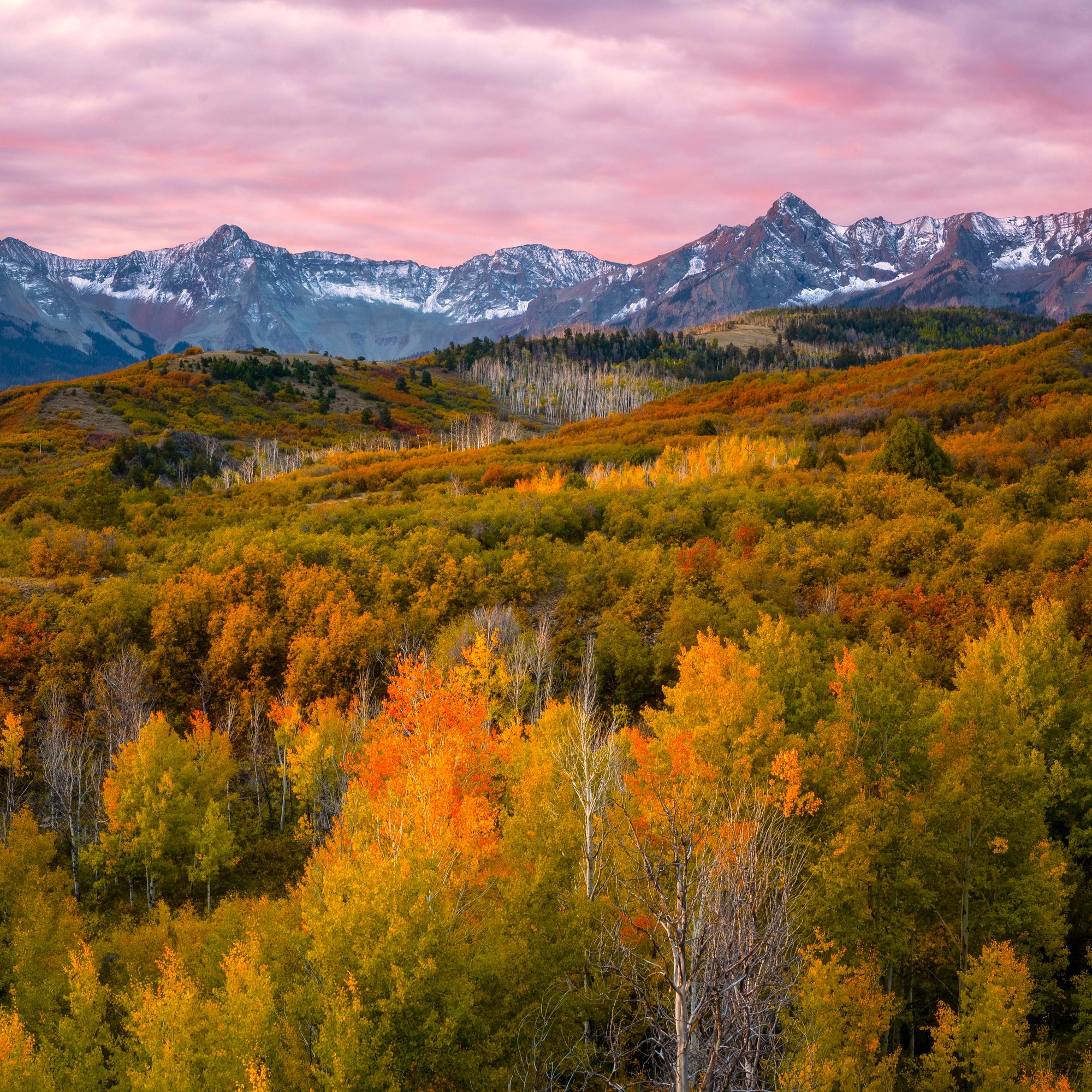 Autumn landscape of the Dallas Divide Pass - Wallpapers for Samsung/Xiaomi in 2000x2000 resolution